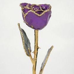 24K Gold Trimmed Purple Rose