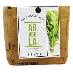 Arugula Organic Growing Kit