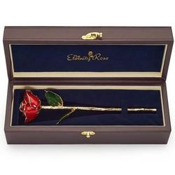 24k Gold Trimmed and Glazed Red Rose in Display Case