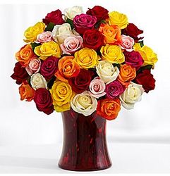36 Rainbow Roses with Ruby Gathering Vase & Chocolates