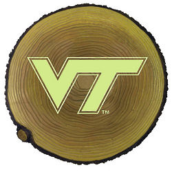 Virginia Tech Glow in the Dark Stepping Stump