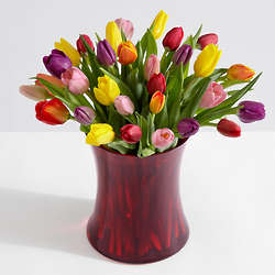 30 Assorted Tulips with Ruby Gathering Vase