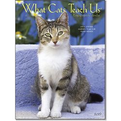 What Cats Teach Us Engagement Calendar