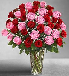 Ultimate Elegance Long Stem Pink and Red Roses