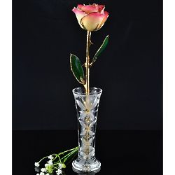 24K Gold Trimmed White and Pink Rose with Crystal Vase