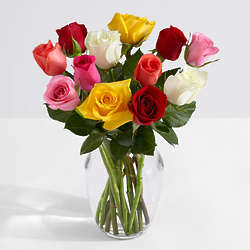One Dozen Long Stemmed Rainbow Roses with Large Ginger Vase