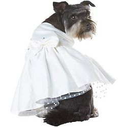 Bride Dog's Wedding Dress