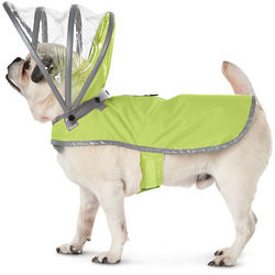 The Canine's Raincoat
