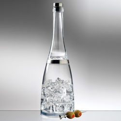 Fusion Bottle Cocktail Shaker