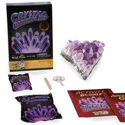 Crystal Growing Kit with Crystal Specimen