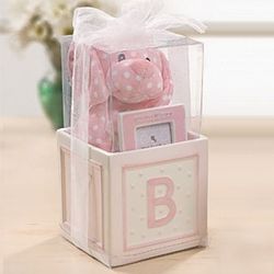 Welcome Baby Girl Gift Set