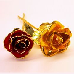 Gold Dipped and Gold Trim Rose in Choice of Color