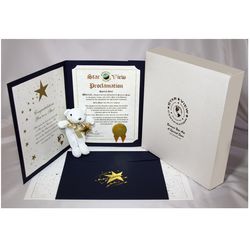 Name A Star Basic Certificate Package with Twinkle the Star Bear