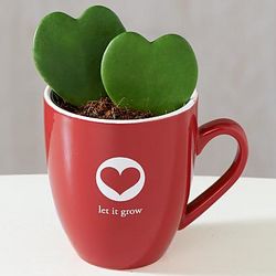 Let Love Grow Cactus