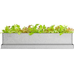 Gourmet Lettuce Windowsill Growbox Kit