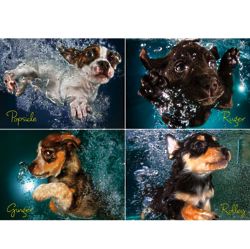 Underwater Puppies 1,000-Piece Puzzle