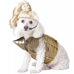 Dog's Pop Queen Costume in Medium