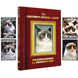 Grumpy Cat - The Grumpy Guide To Life Book & Magnets
