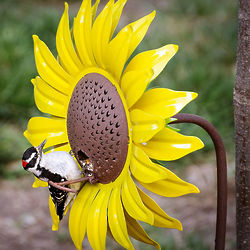 Sunflower Metal Bird Feeder Stake