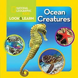 Kids Look and Learn Ocean Creatures Book