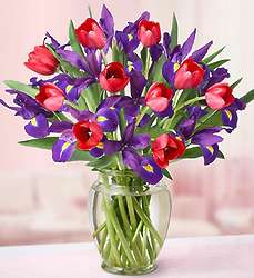 Purple Magic Iris and Tulip Bouquet