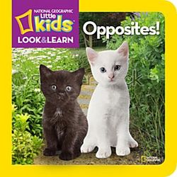 Little Kid's Look and Learn Opposites Board Book