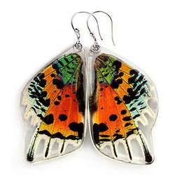 Sunset Butterfly Wing Earrings