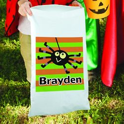 Boy's Halloween Spider Candy Sack