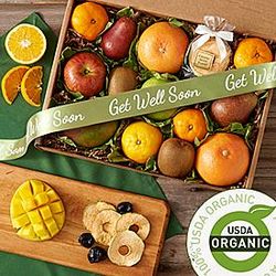 Get Well Organic Fresh and Dried Fruit