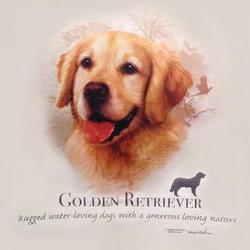 Golden Retriever Dog Breed T-Shirt