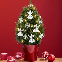 Snowflakes and Angels European Cypress Christmas Tree