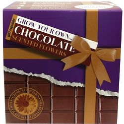 Grow Your Own Chocolate Scented Flowers Kit