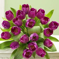 Signature Purple Tulips Bouquet