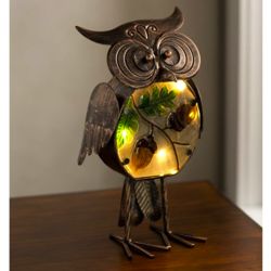 Indoor or Outdoor Lighted Owl Statue with Acorn