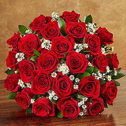 24 Stems of Premium Long-Stemmed Red Roses for Valentine's Day