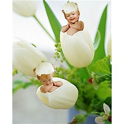Personalized Tiptoe Tulips Photo