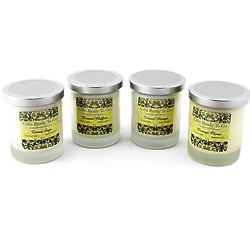 Citrus and Fruit Soy Candles Gift Set