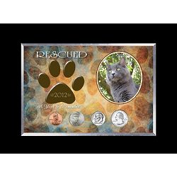 Rescued Cat Year to Remember Coin Frame