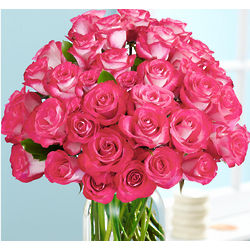 36 Pink Pearl Roses Bouquet