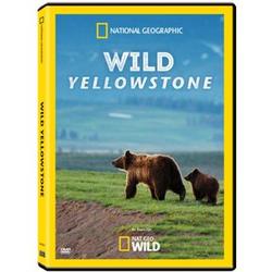 Wild Yellowstone DVD