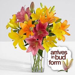 Birthday Bouquet of Peach, Pink, and Yellow Lilies
