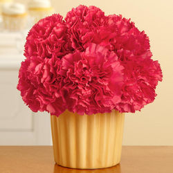Birthday Carnation Cupcake