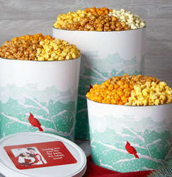 2 Gallons and 4 Flavors of Popcorn in Crimson Cardinal Tin