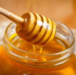 Honey Tasting Beekeeping Workshop