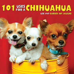 101 Uses for a Chihuahua Book