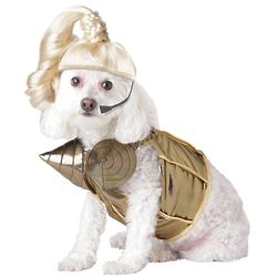 Pop Queen Small Dog Costume