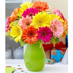 Colorful Birthday Daises Bouquet