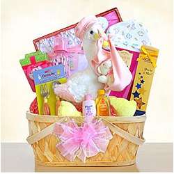 Special Stork Delivery Baby Girl Gift Basket
