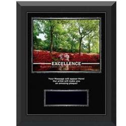 Excellence Azalea Gunmetal Award Plaque
