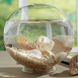 Tidal Pool Glass Globe